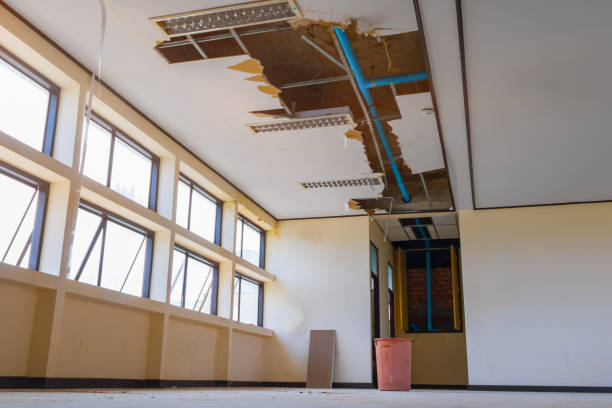 Best Water damage restoration process  in Vicksburg, MS