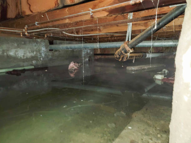 Best Water damage mitigation services  in Vicksburg, MS