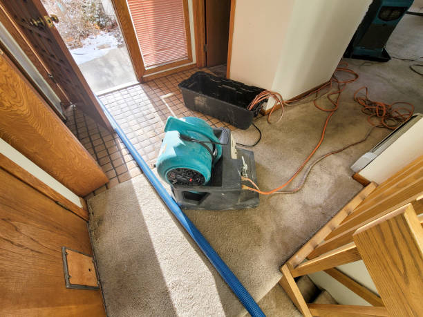 Best Water damage cleanup near me  in Vicksburg, MS
