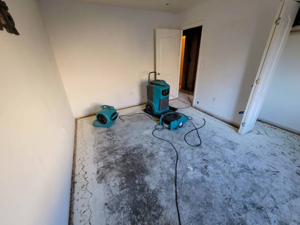 Best Professional water damage repair  in Vicksburg, MS
