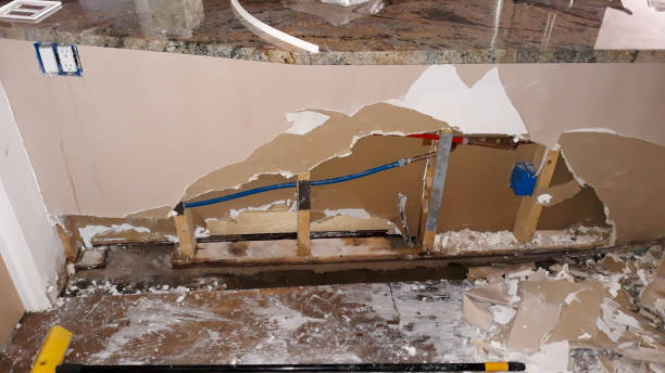 Best Flooded house restoration  in Vicksburg, MS