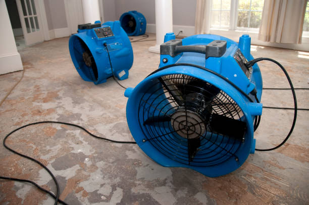 Best Sewage cleanup and water damage restoration  in Vicksburg, MS