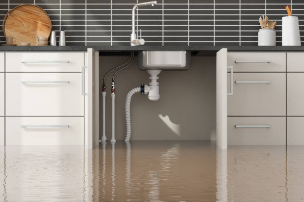 Best Basement water damage restoration  in Vicksburg, MS
